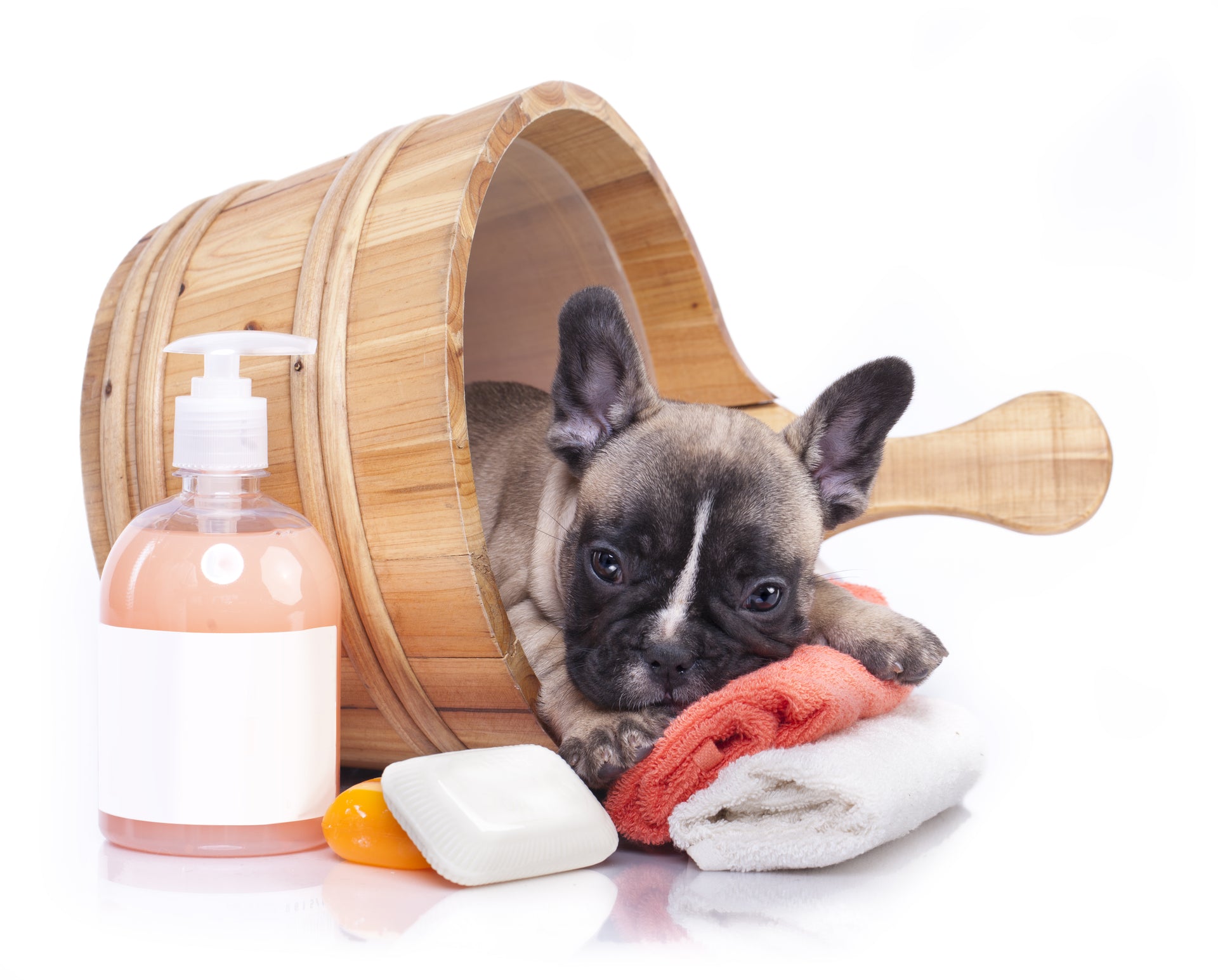 3 Essential Dog Grooming Habits for a Healthier Body