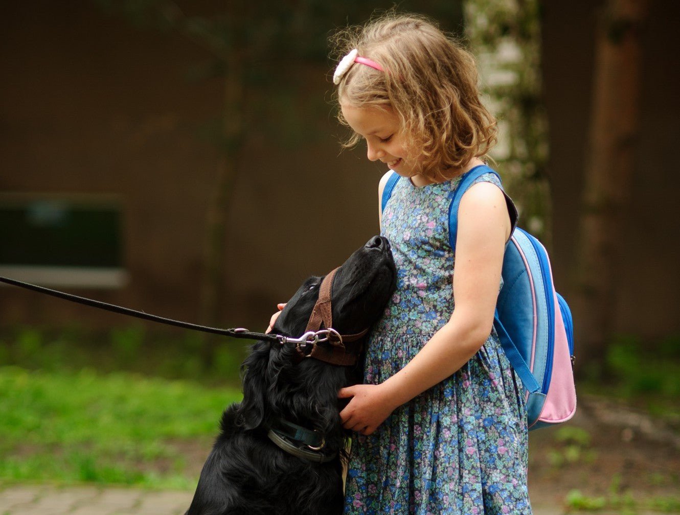Is Your Dog Ready for Back-to-School Season? – Bow Wow Labs