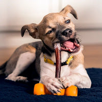 Chews