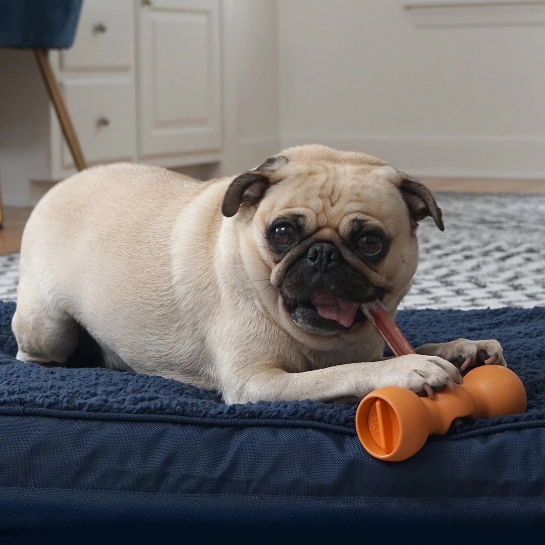 Bow Wow Buddy® Bully Stick Holder