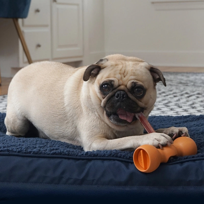 Smart Bully Stick Bundle