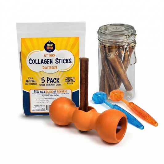 The Safe Chew Kit