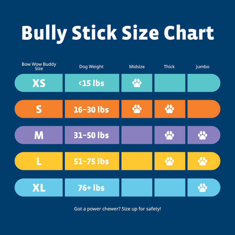 Smart Bully Stick Bundle