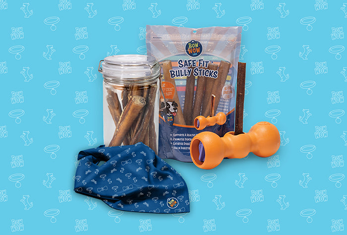 The Smart Bully Stick Bundle