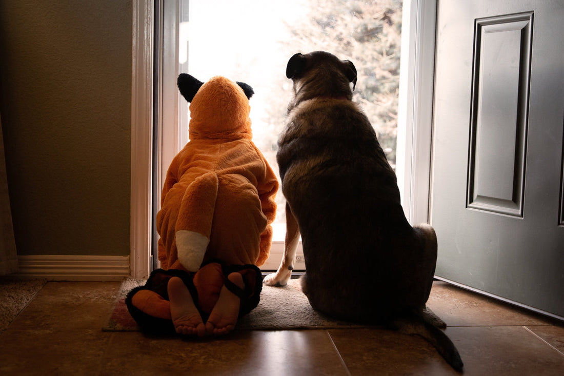 2 dogs in a doorway dressed in halloween costumes