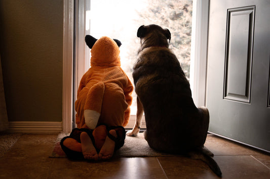 2 dogs in a doorway dressed in halloween costumes