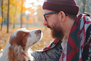 cocker spaniel popular dog breed