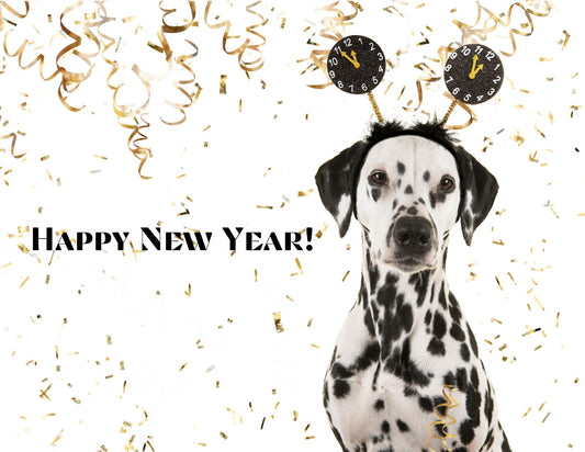 New Year’s Resolutions for Dogs: 12 re(solutions) to make your pup healthier and happier throughout the year! - Bow Wow Labs