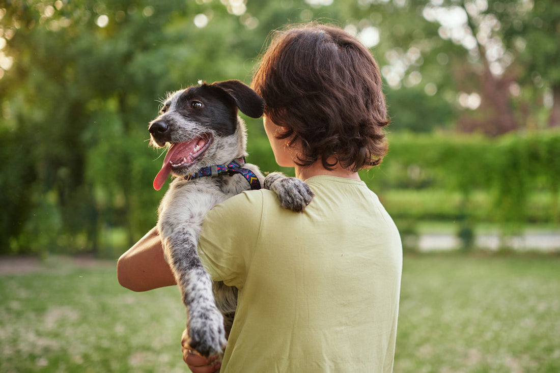 boy holding a dog