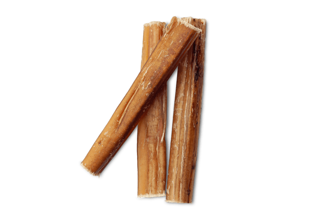 What is a Bully Stick? - Bow Wow Labs