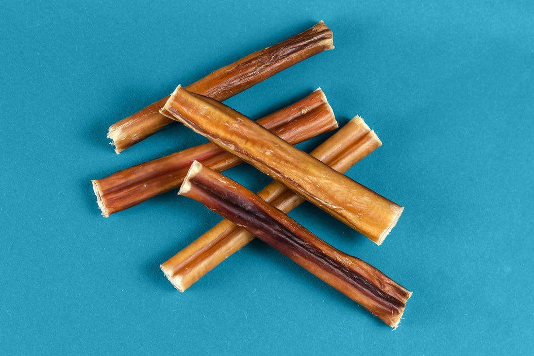collagen dog stick chews