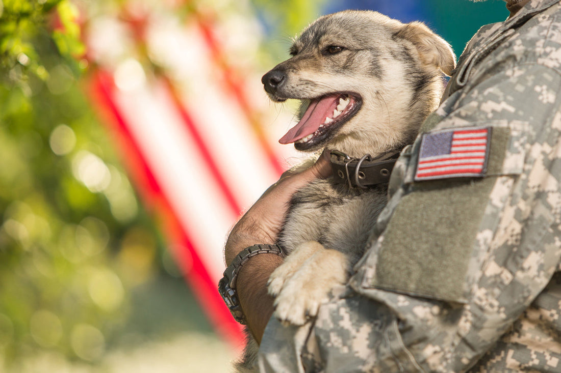 veteran holding a dog