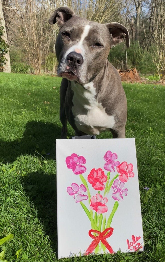 Celebrate Mother's Day with a Paw-print Bouquet - Bow Wow Labs