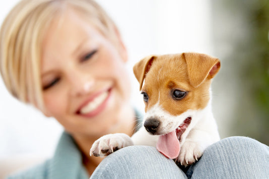 owner with her puppy dog