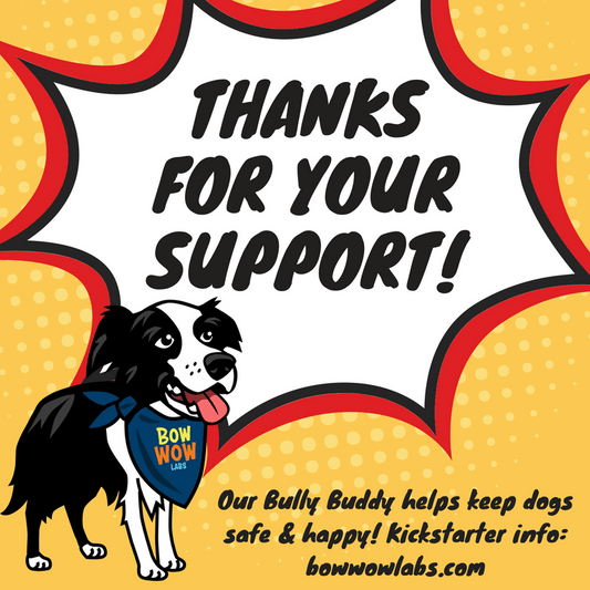 Wow - We Just Reached 100 Backers! - Bow Wow Labs