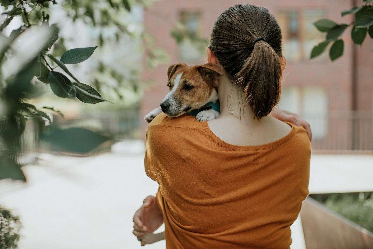 Ways to Thank Your Dog for All They Give Us