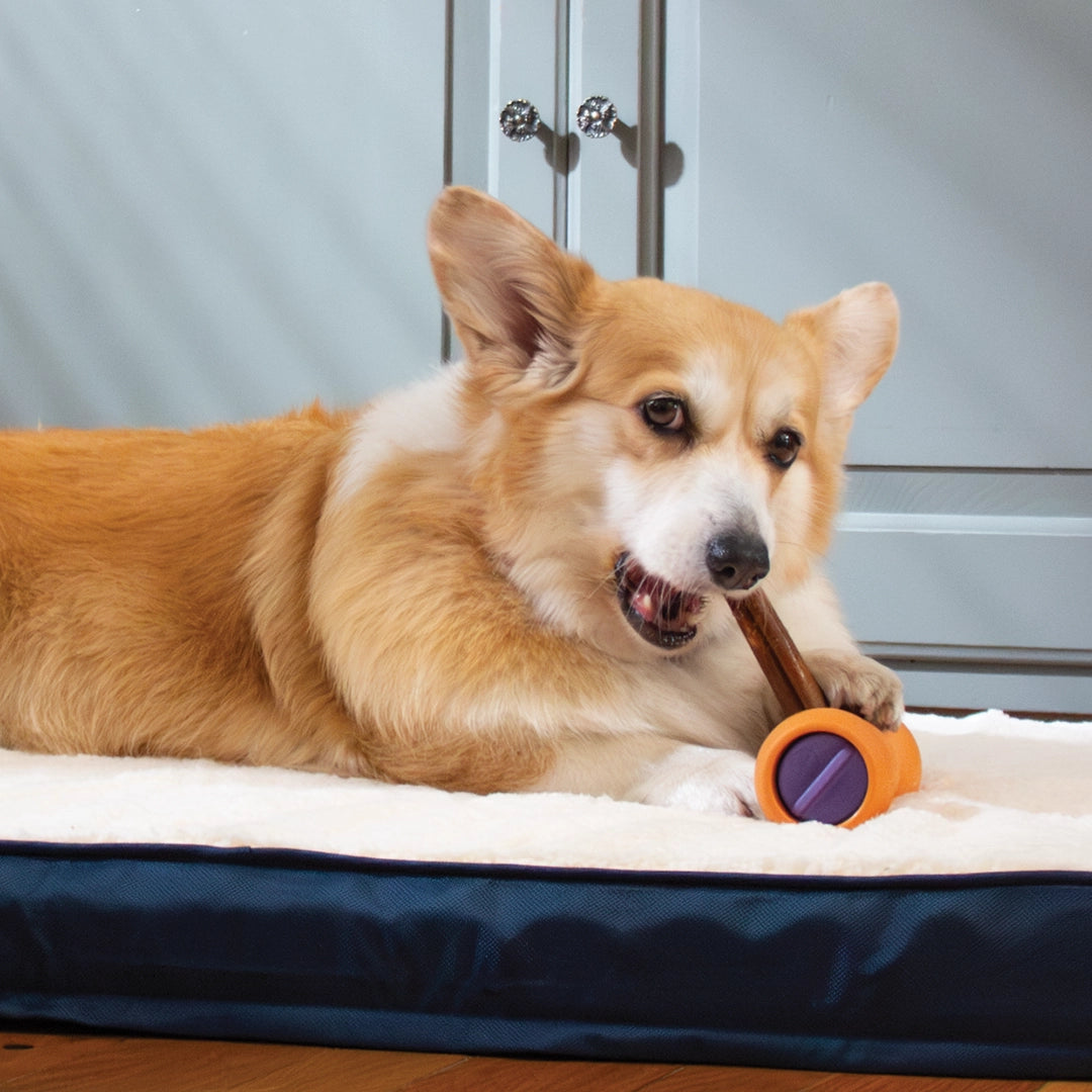 Smart Collagen Stick Bundle