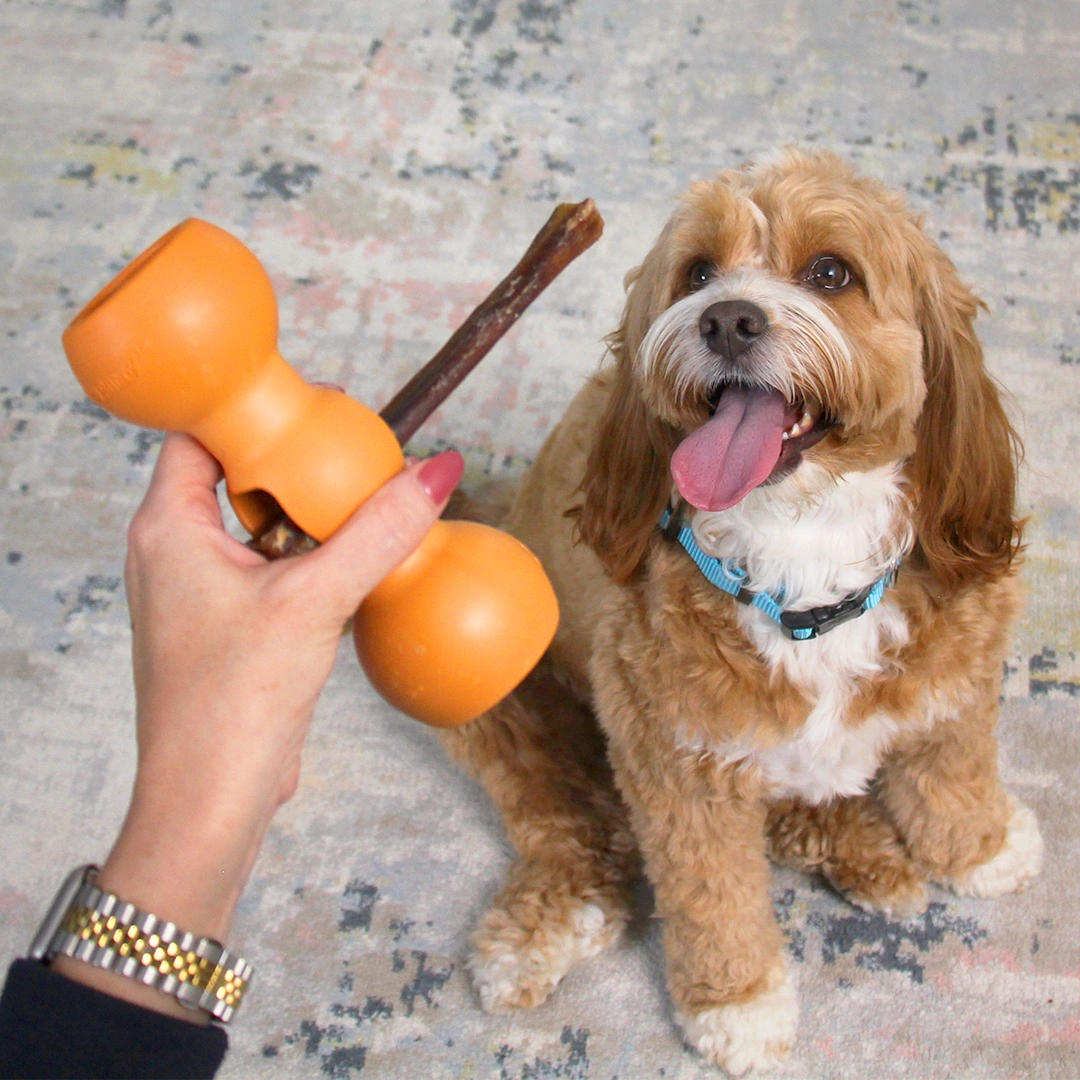 Smart Collagen Stick Bundle