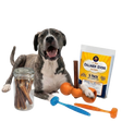 The Safe Chew Kit