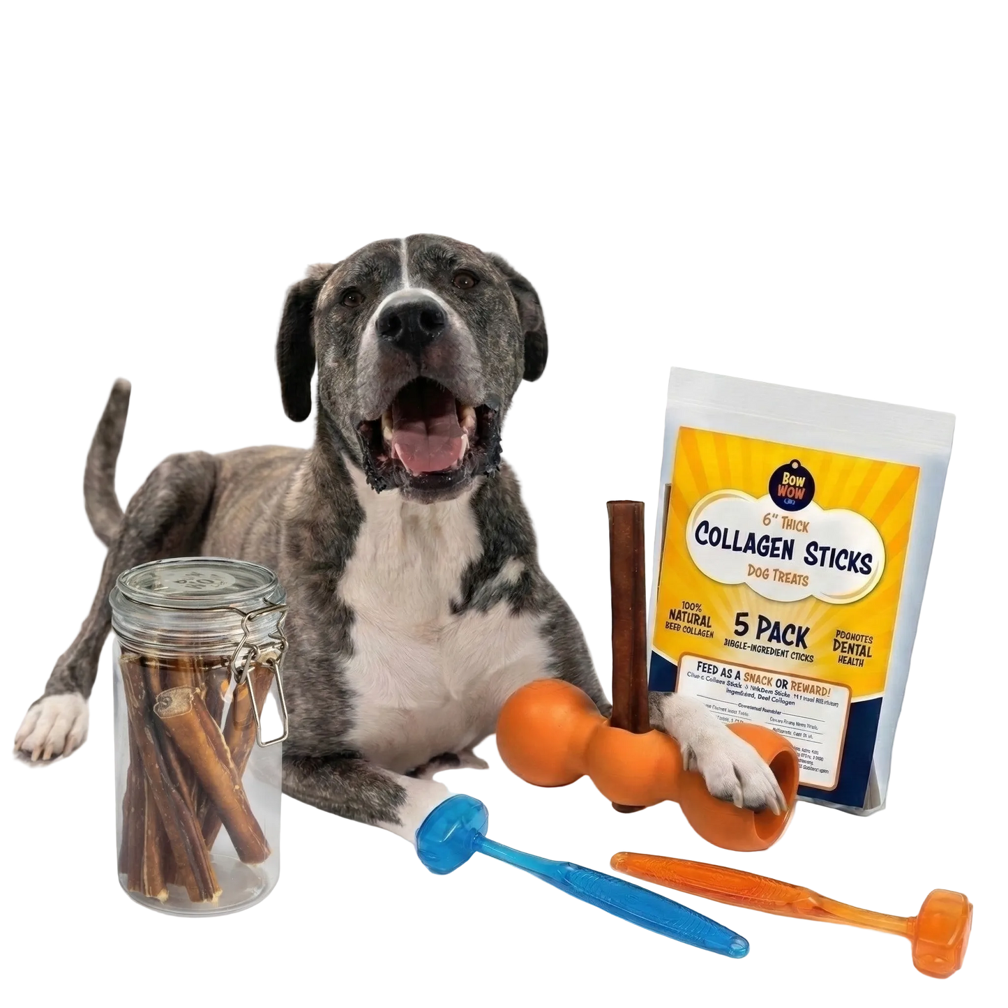 The Safe Chew Kit