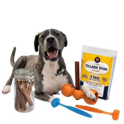 The Safe Chew Kit