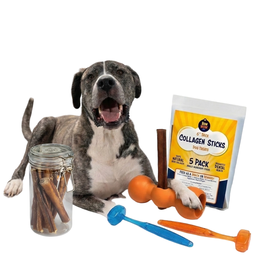 The Safe Chew Kit