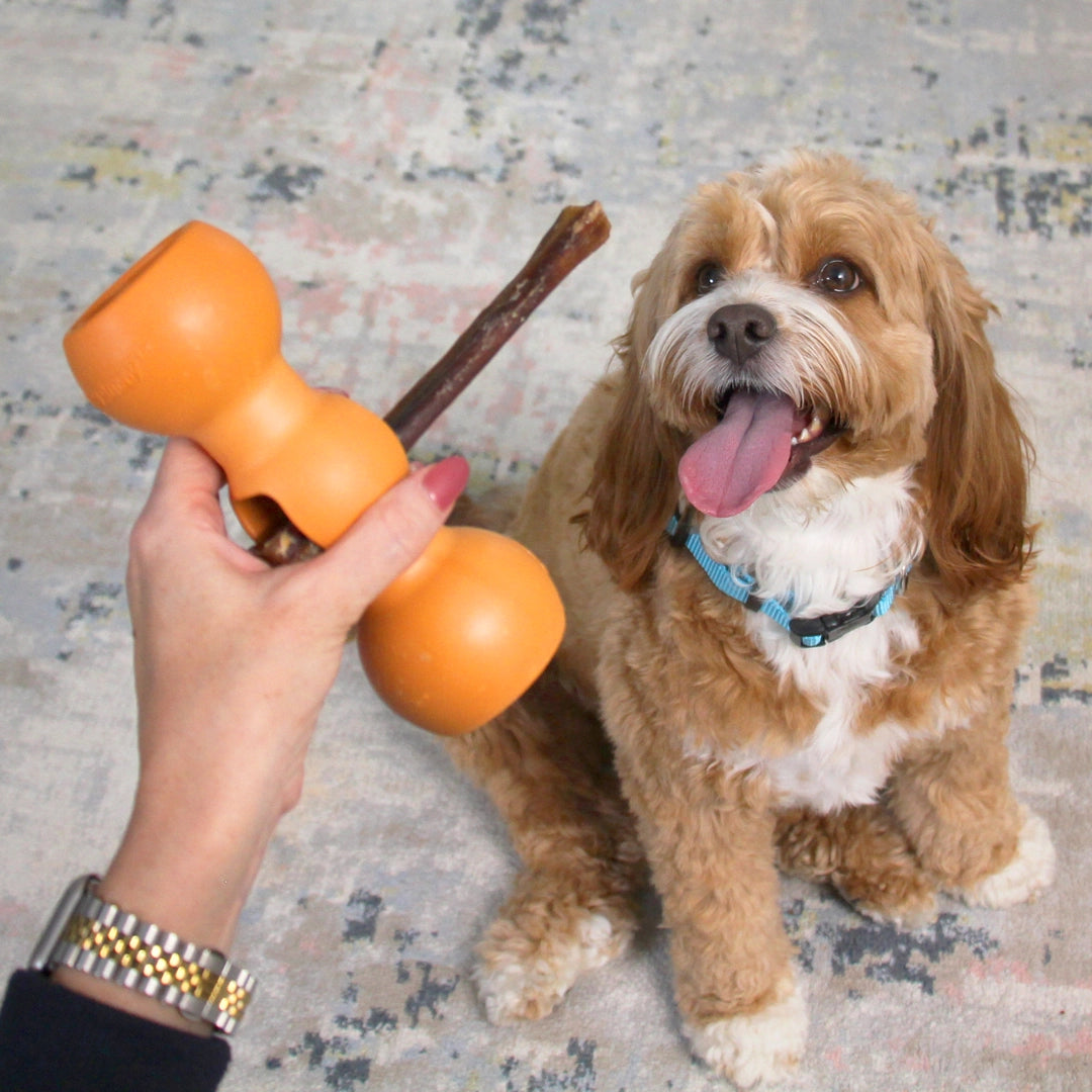 Kauwspeelgoed voor honden Everlasting Treat Wheeler Kauwspeelgoed voor honden Everlasting Treat Wheeler