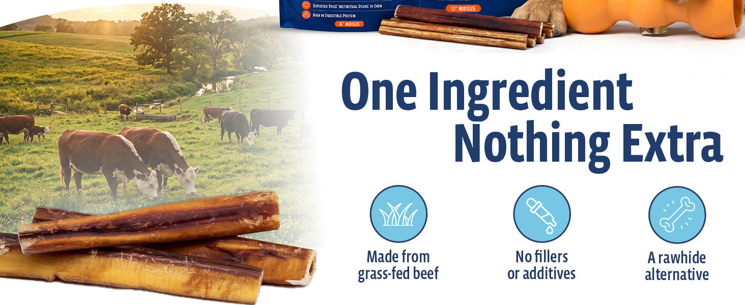 One ingredient, nothing extra — grass-fed beef, no fillers or additives, a rawhide alternative