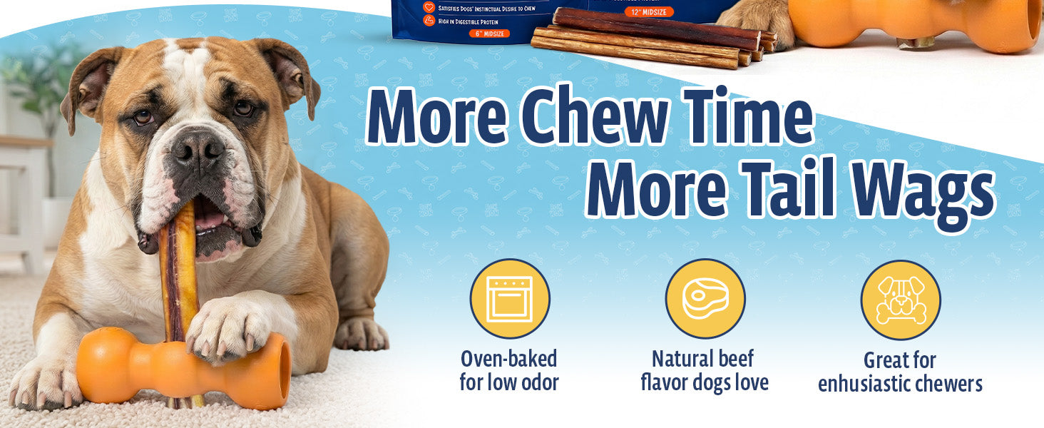 Safe, stress-free chew time for every pup