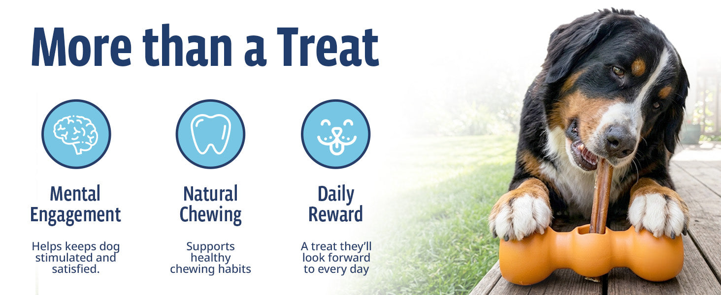 Supports dental health — chewing helps clean teeth and gums