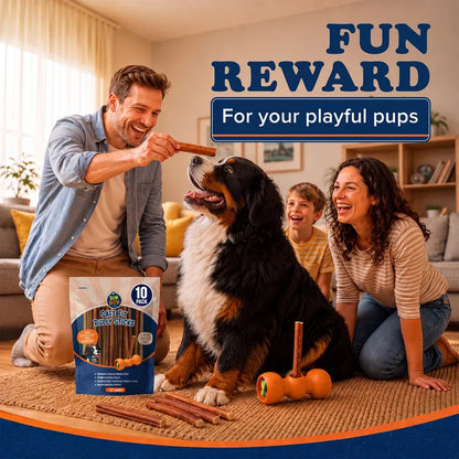 A fun reward for playful pups