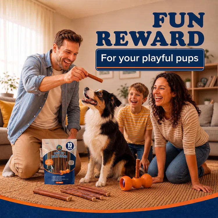 A fun reward for playful pups #v:12-thick