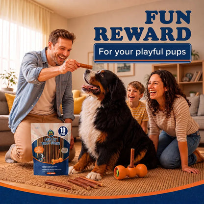 A fun reward for playful pups