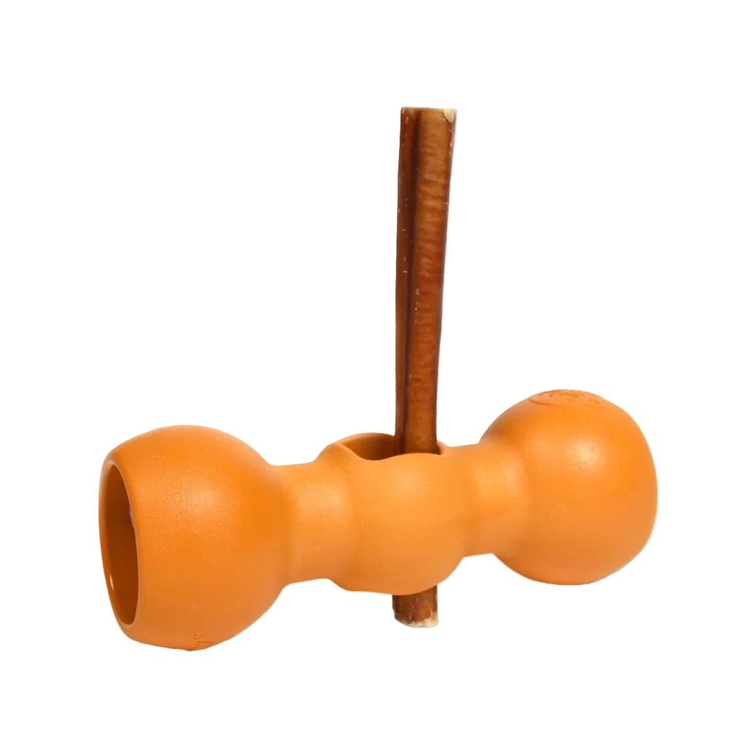 The Modern Bow Wow Buddy in orange