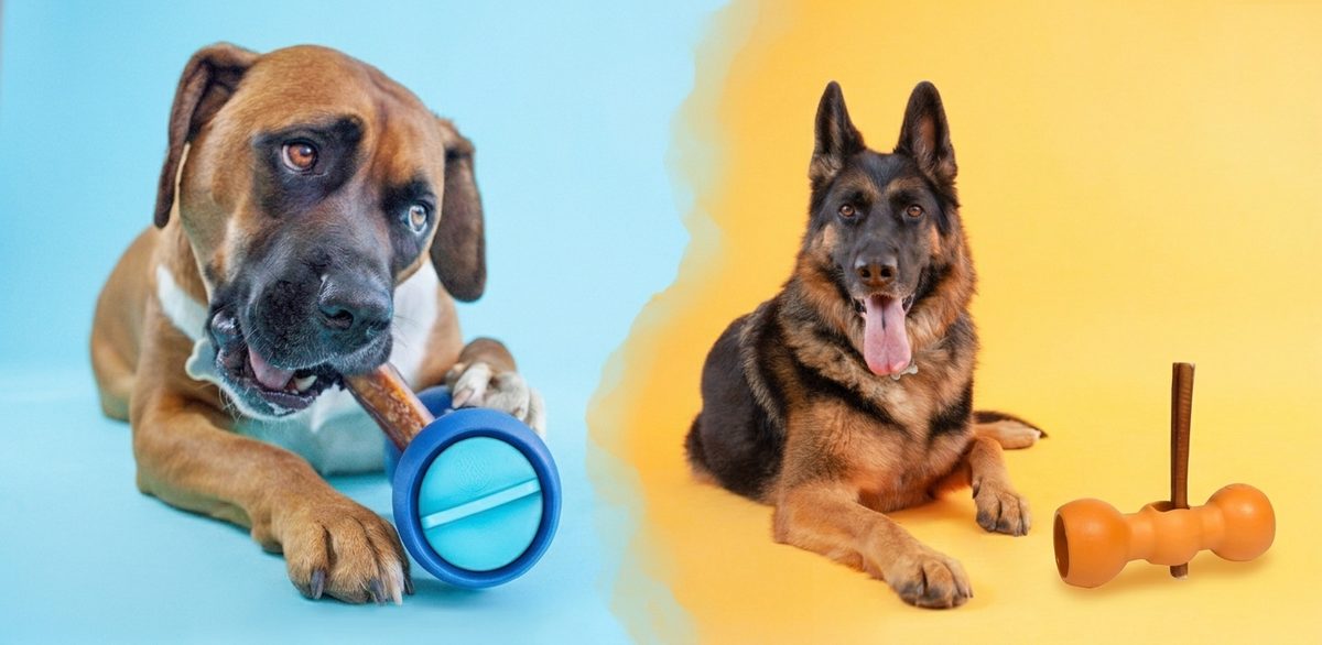 Two dogs using the Bow Wow Buddy — Original blue on left, Modern orange on right
